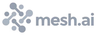 Mesh.ai